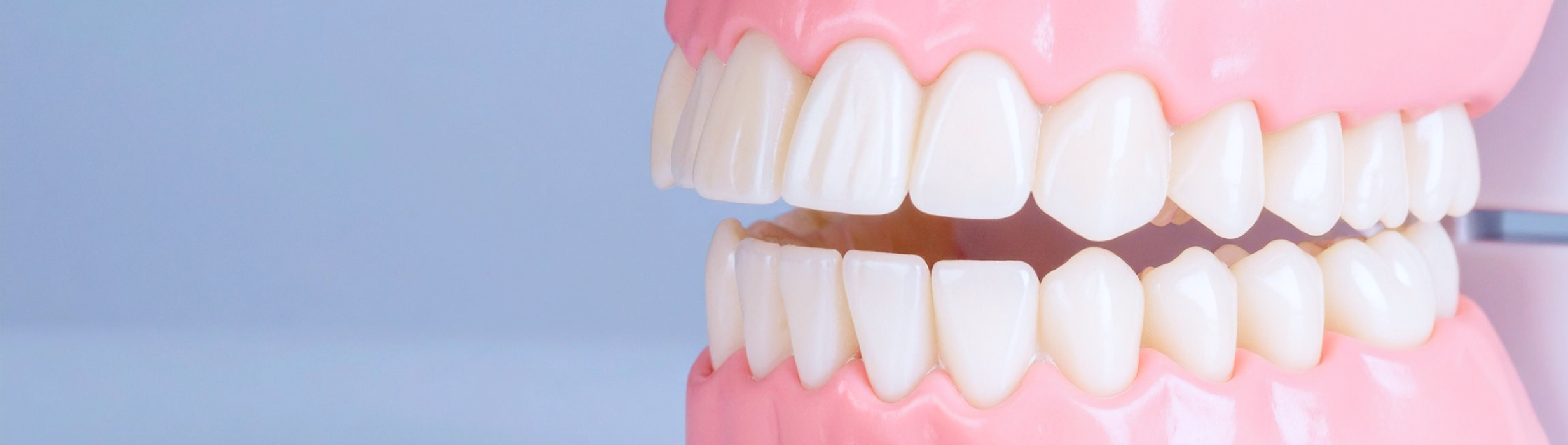 X SPEED ORTHO – 矯正期間短縮メニュー