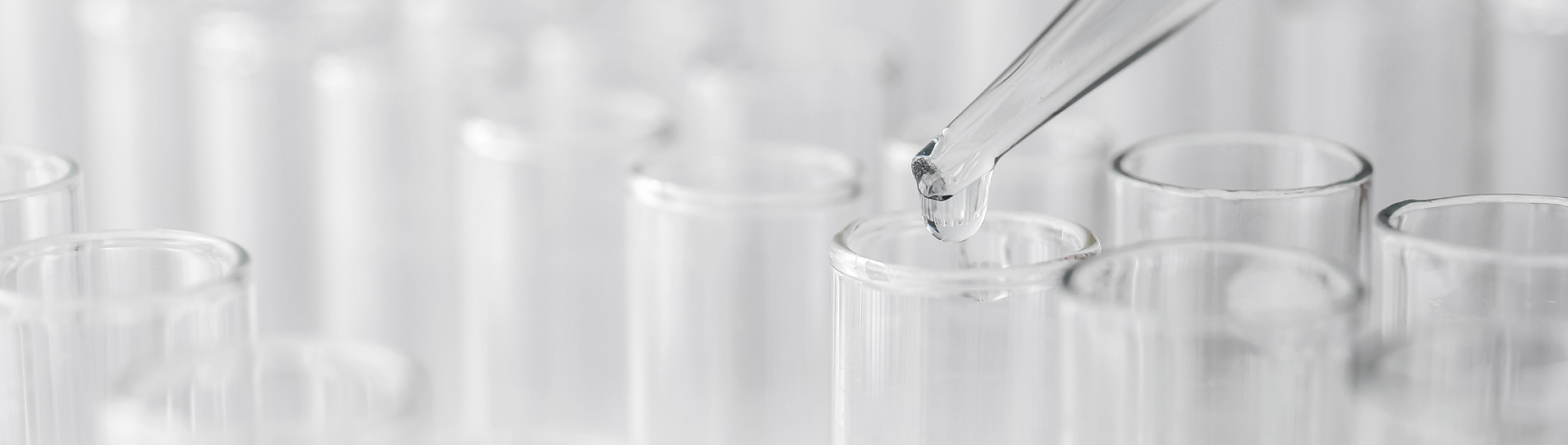 再生医療(全身・身体) | 脂肪由来幹細胞培養液