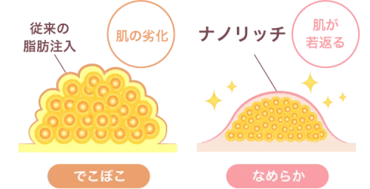 細胞の再生を促す