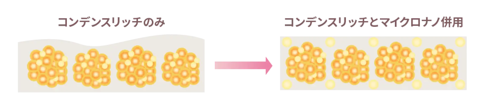 マイクロナノ併用の図