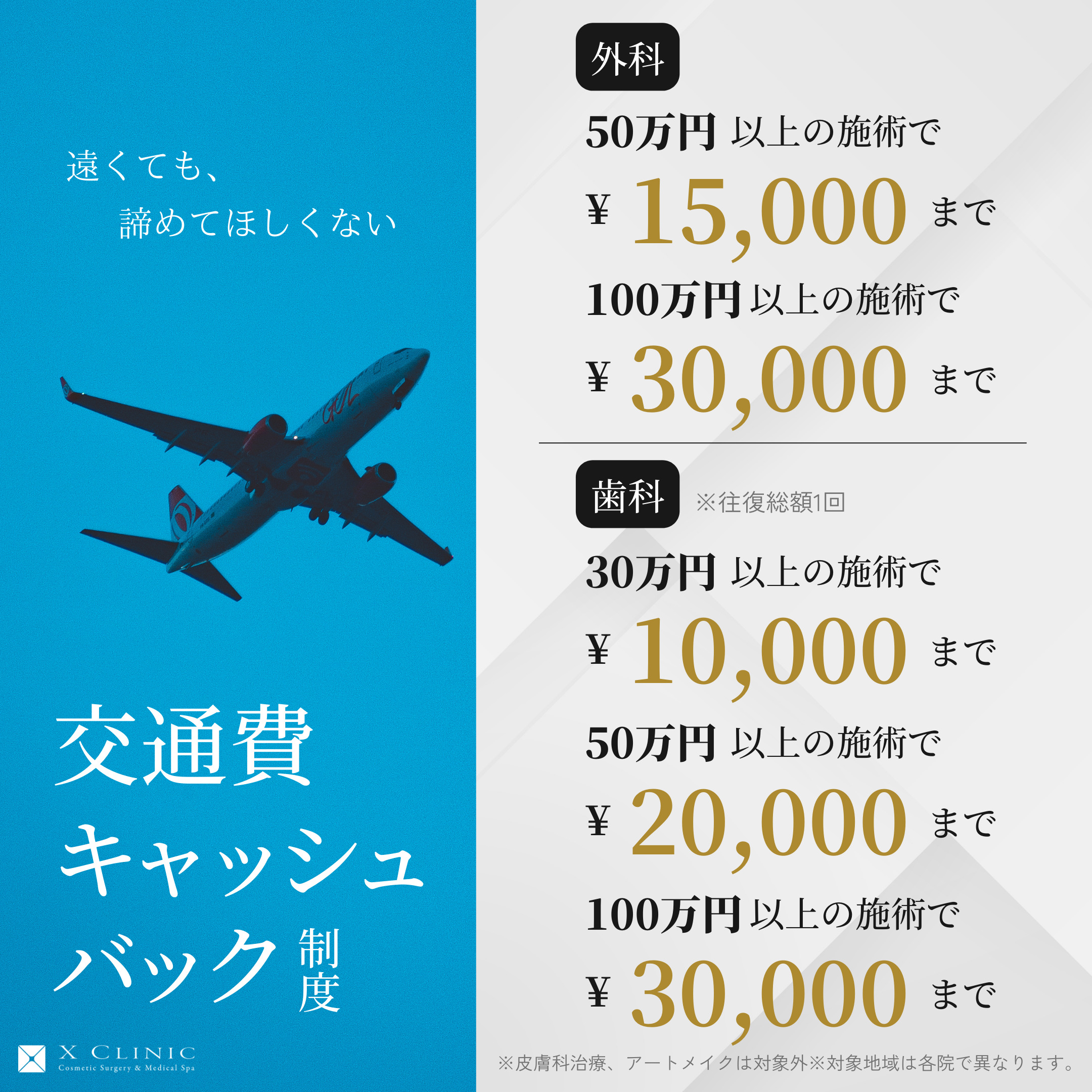 EBISU_HP用広告用-CP画像_2409-