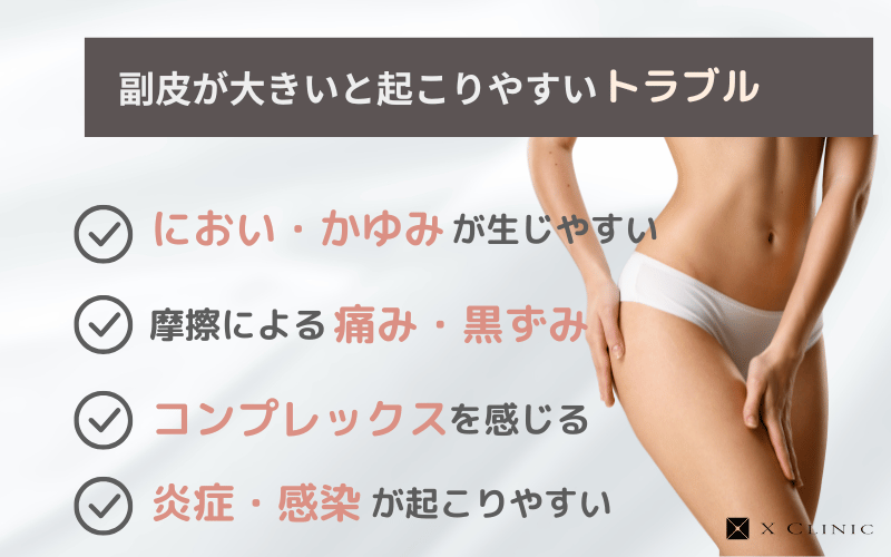 副皮 大きい