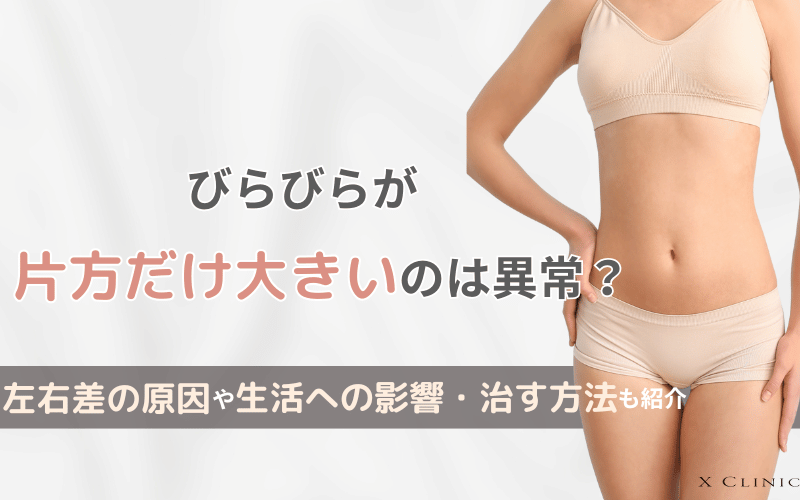 びらびら 片方だけ大きい
