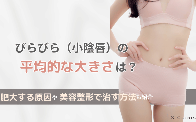 びらびら 大きさ