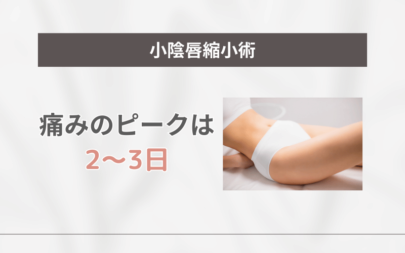 小陰唇縮小術 痛い